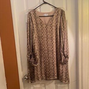 Adrienne Long-Sleeve V-Neck Snake-Print Tunic in Beige and Brown